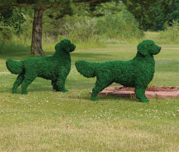 Animal-topiary-Dog-Golden-Retriver