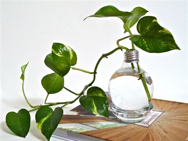 Light-Bulb-Vase-32