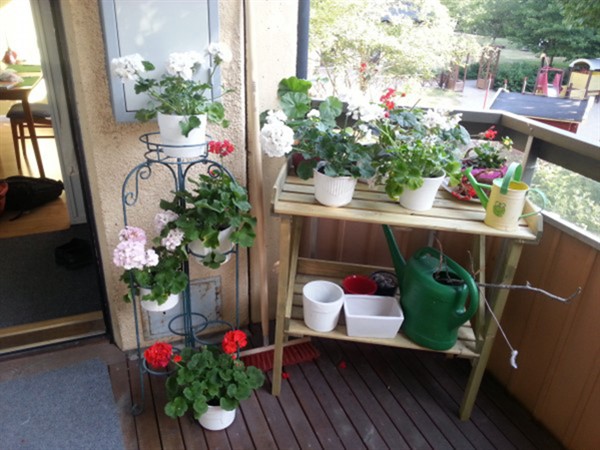Balcony-Garden-Plant-Stand-20