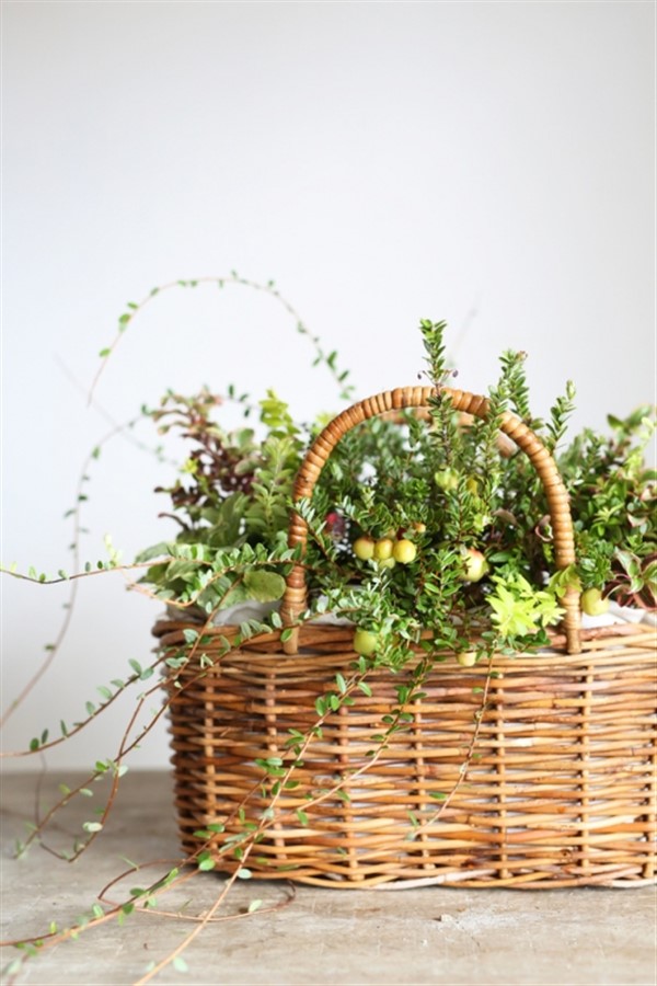 Wicker Planter Baskets for Indoor and Outdoor Decoration