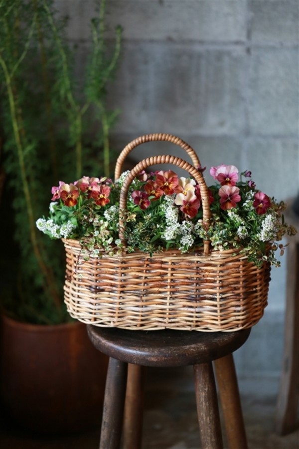 Wicker Planter Baskets for Indoor and Outdoor Decoration
